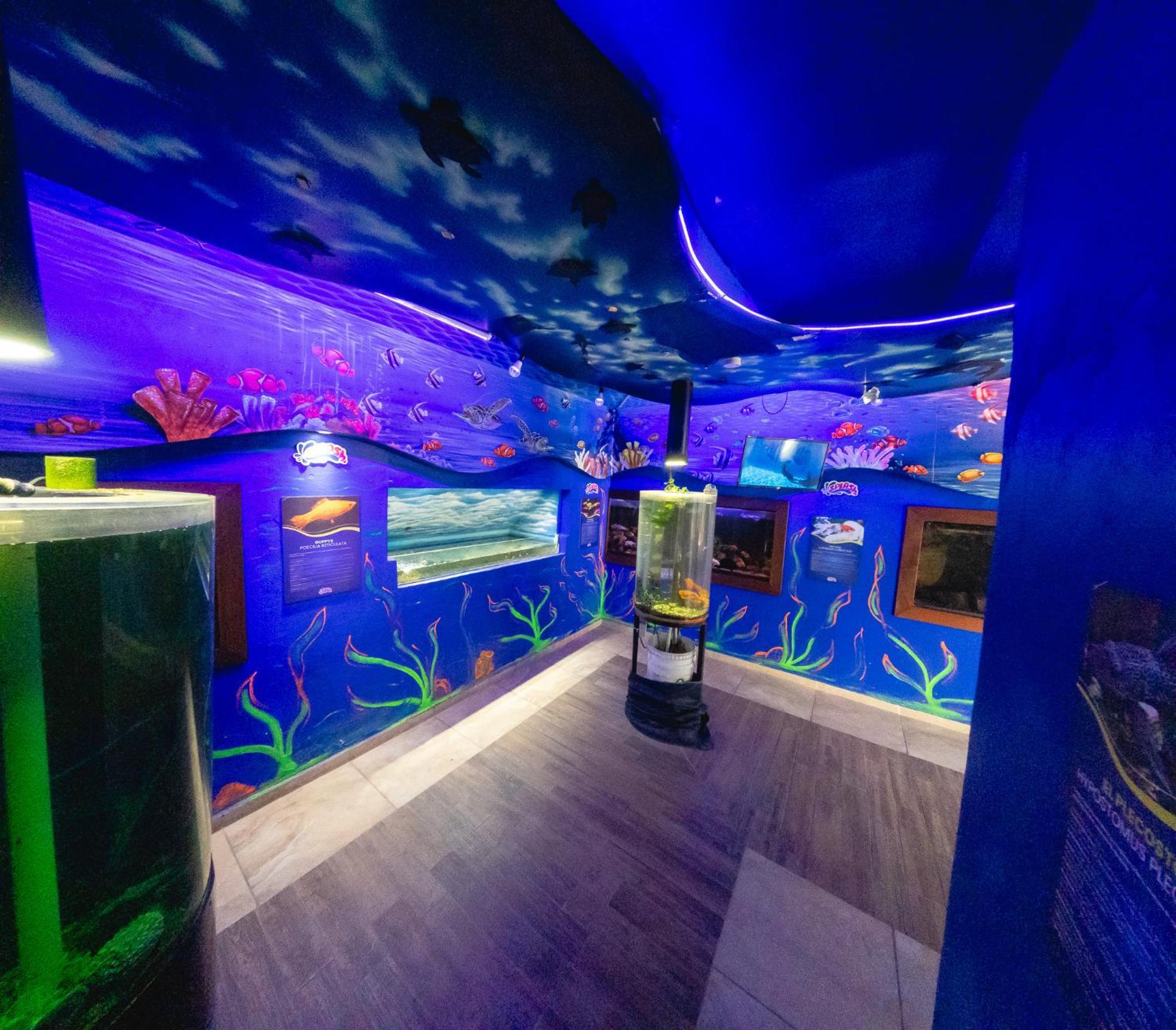 Splash Inn Nuevo Vallarta & Parque Acuatico المظهر الخارجي الصورة