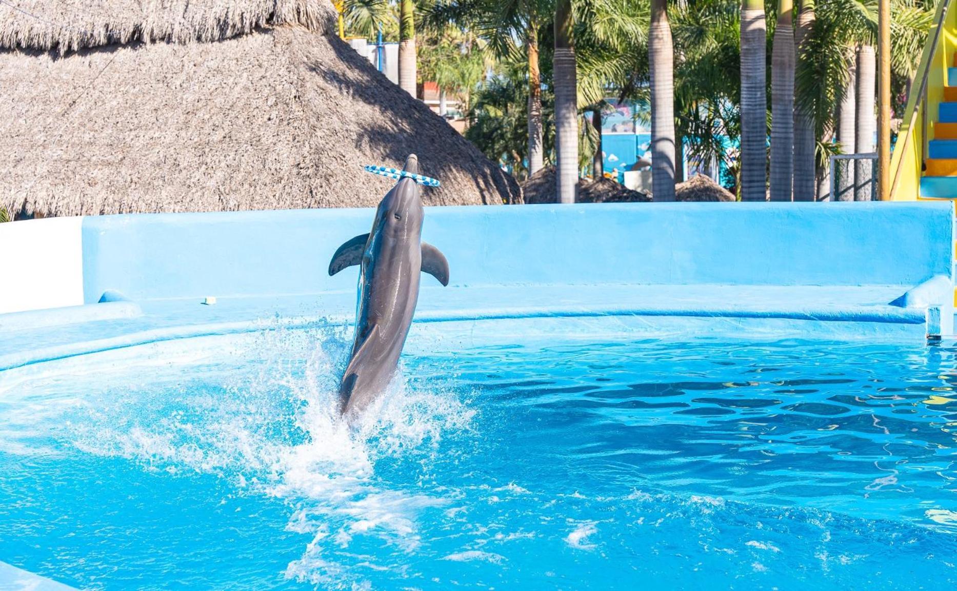 Splash Inn Nuevo Vallarta & Parque Acuatico المظهر الخارجي الصورة